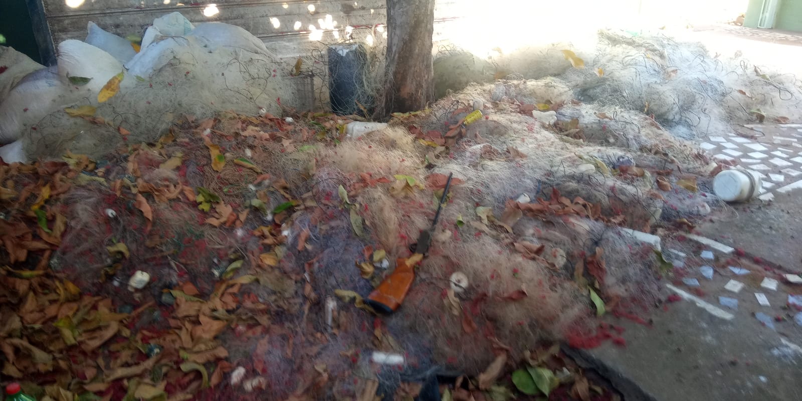 Uso de rede de pesca é proibido nos rios de lagos do Tocantins