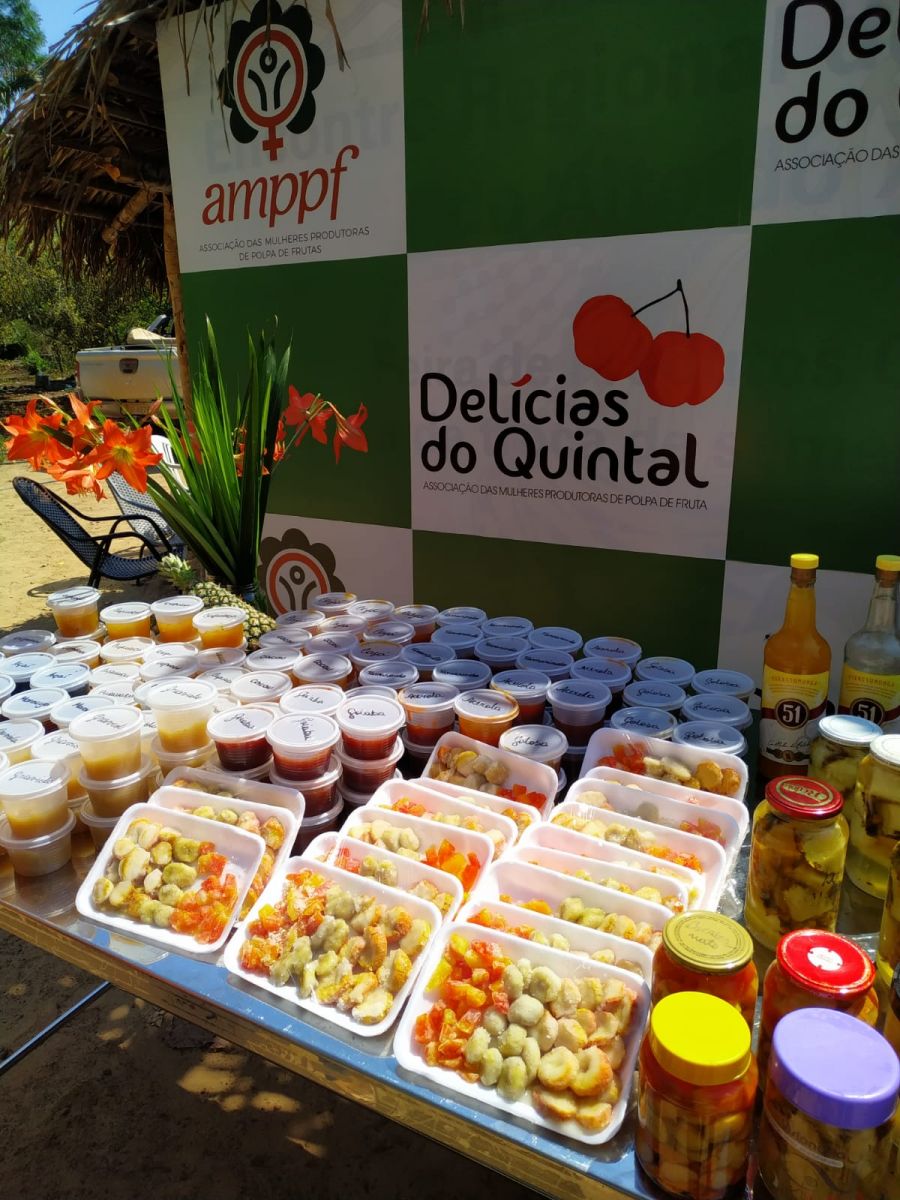 Delícias de Quintal - Empreendedorismo feminino no sudeste do Pará